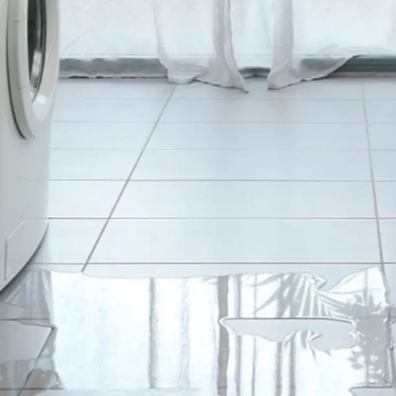 Appliance Leak Cleanup in Traverse City, MI