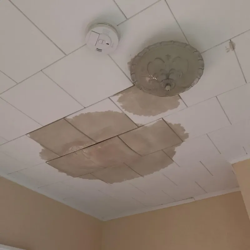 Ceiling Water Damage Repair in Traverse City, MI