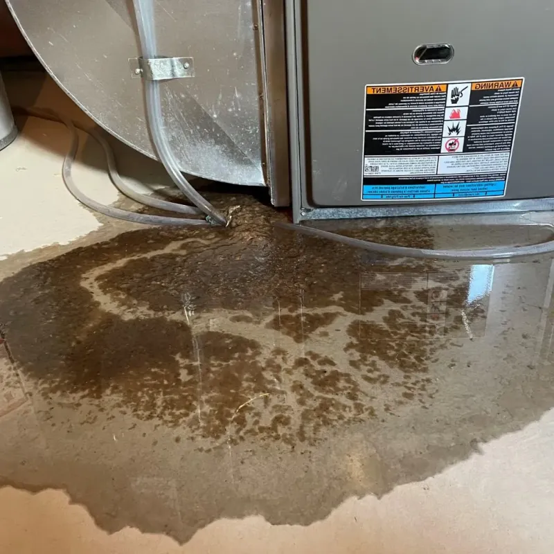 Pipe Burst and Leak Restoration in Traverse City, MI